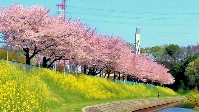 新座市：街並み